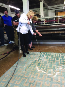Image 1 - Cleaning a viscose rayon rug